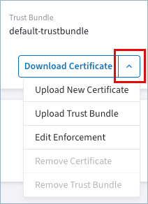 ca certificate more options menu
